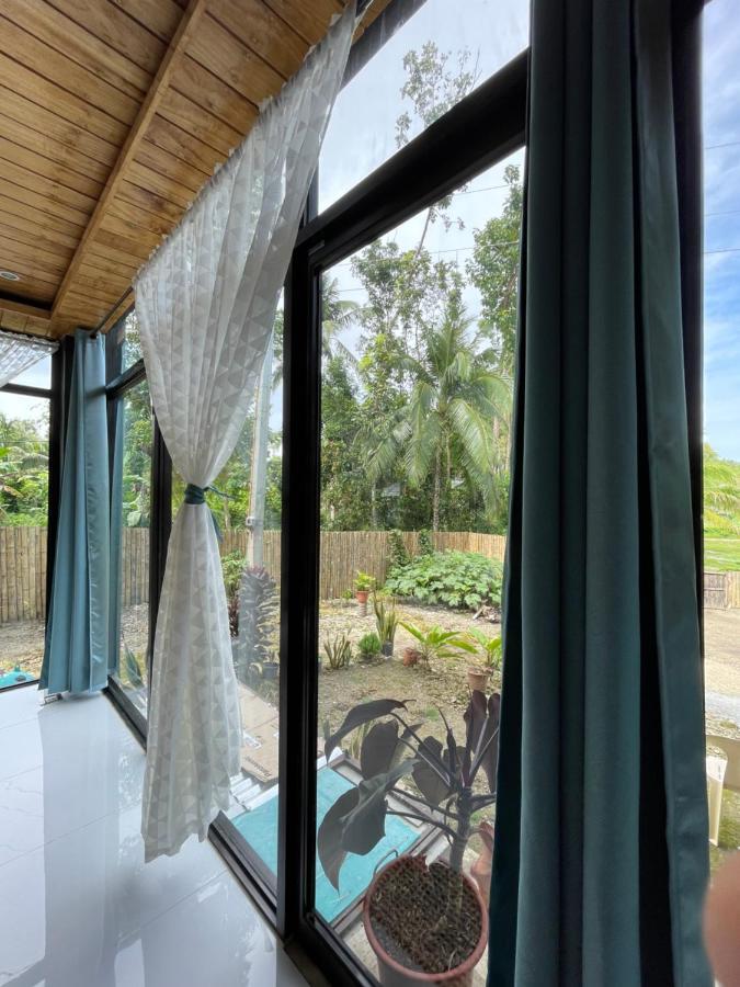 Casa Aguelo Chocolate Hills Panzió Carmen  Kültér fotó
