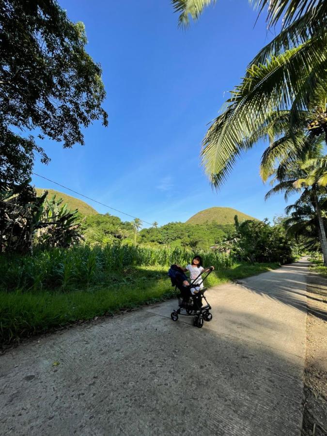 Casa Aguelo Chocolate Hills Panzió Carmen  Kültér fotó